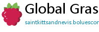 Global Grasp news portal